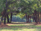 IMG_9947.jpg